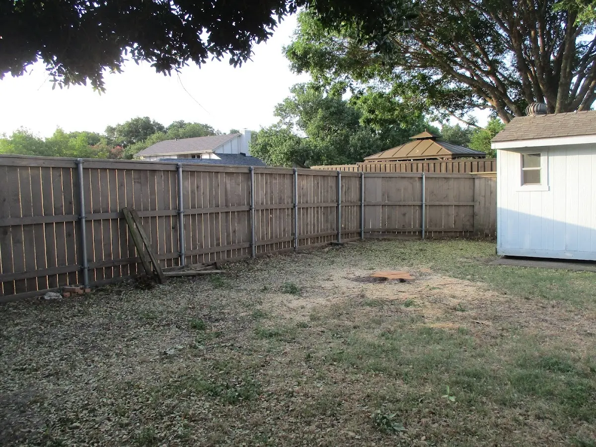 Cleared yard after professional tree removal in Pointe Aux Pins