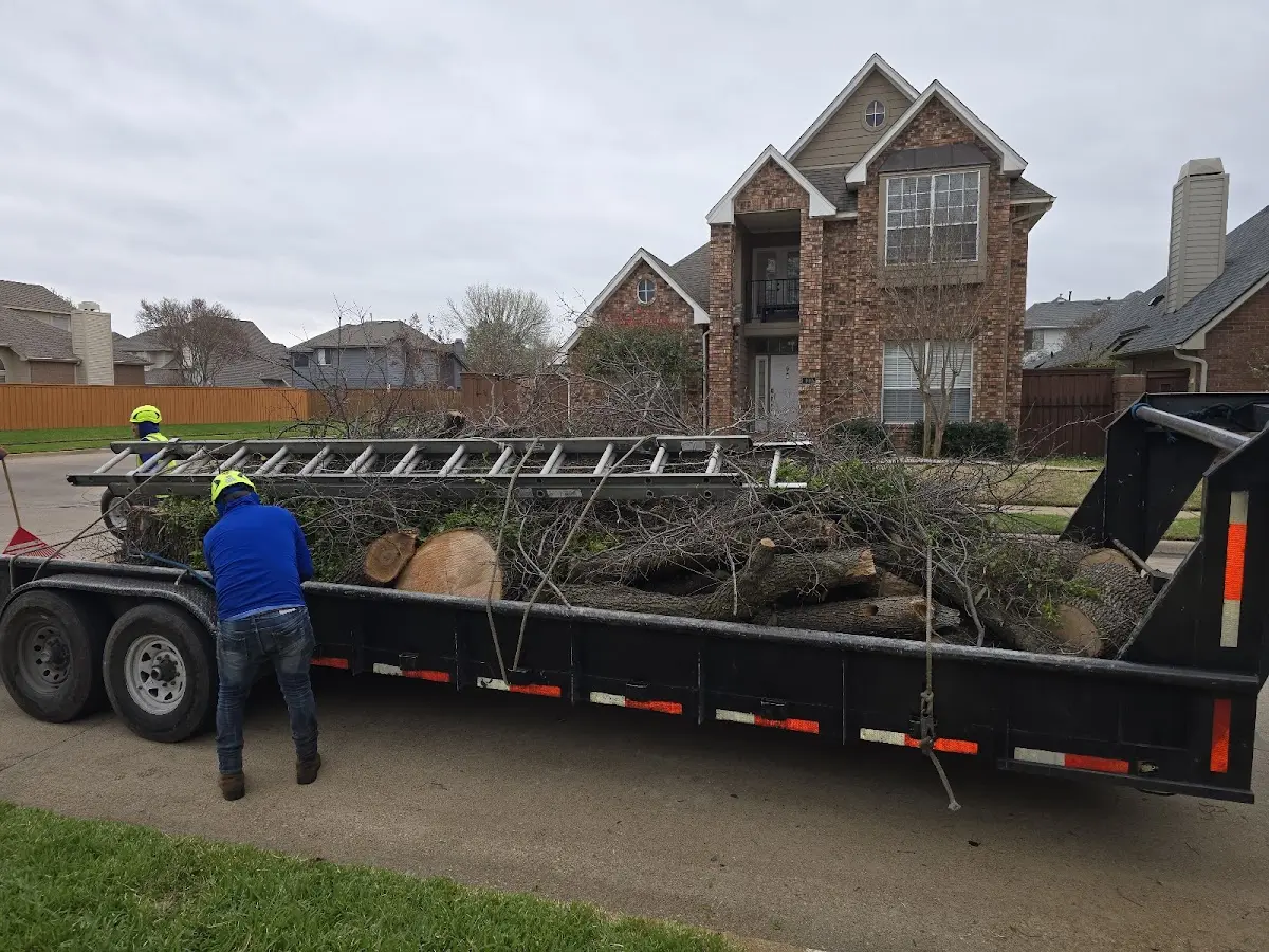 Expert Tree Removal with proper safety equipment in Pointe Aux Pins